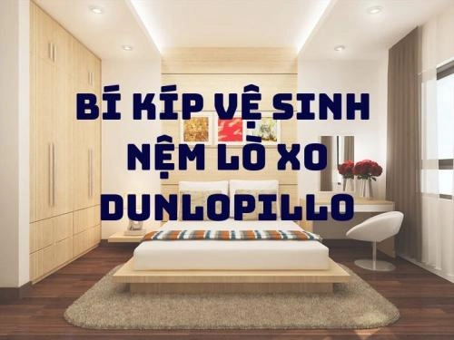 biểu đồ khung giá nệm lò xo Dunlopillo theo phân khúc