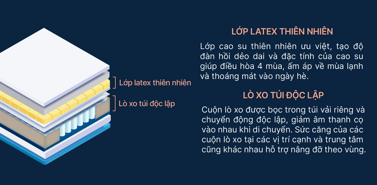 cắt lớp đệm King Koil lò xo túi và foam