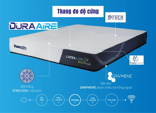 cấu trúc lõi đệm Dunlopillo minh họa chi tiết