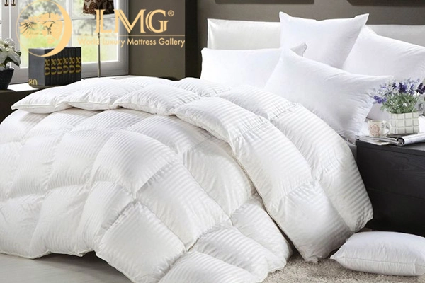 Checklist kiểm tra nhanh trước khi mua chăn bông