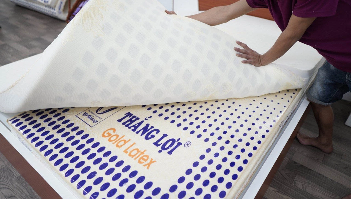 Dòng nệm cao su Thắng Lợi đa dạng độ dày