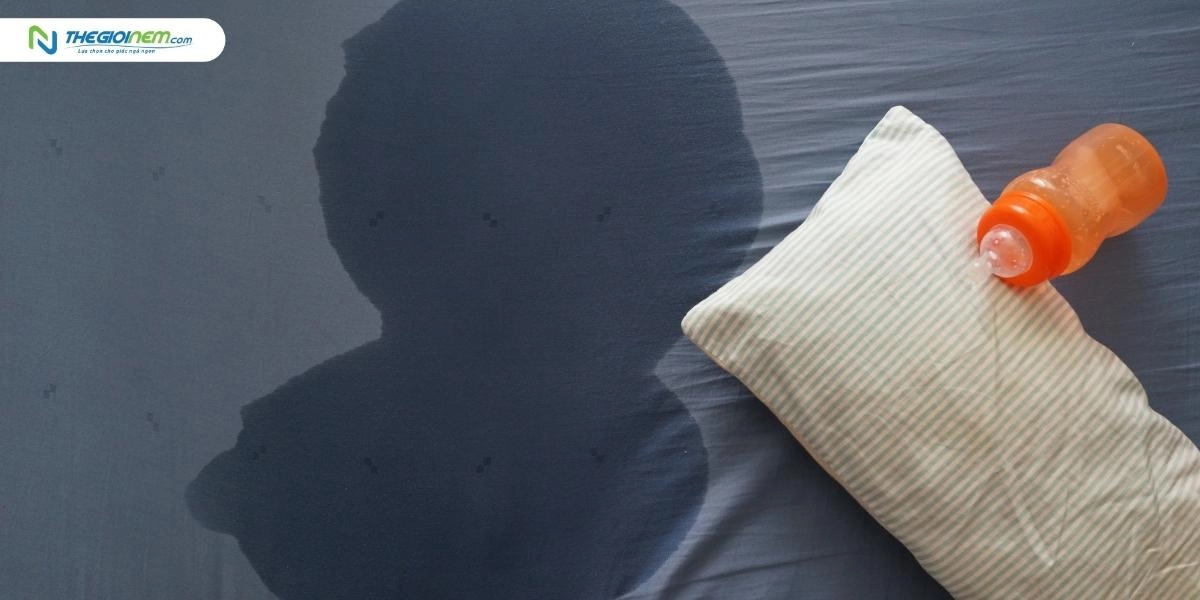 hướng dẫn vệ sinh nệm Everon bằng máy hút bụi