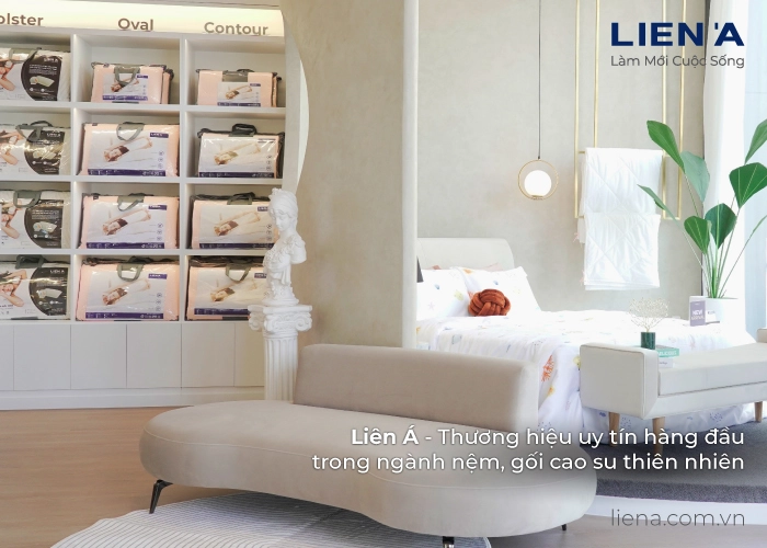 khách hàng hỏi đáp với chuyên gia nệm King Koil