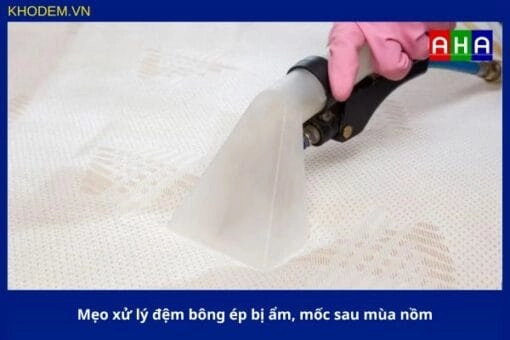 So sánh đệm Everon bông ép với lò xo và foam