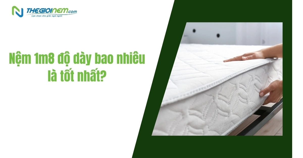 So sánh độ dày nệm Thắng Lợi trên giường