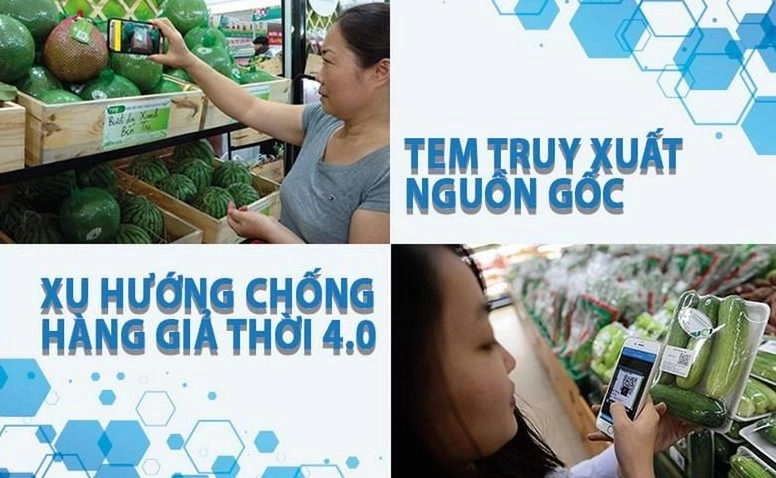 Tem chống giả Thắng Lợi và mã quét bảo hành