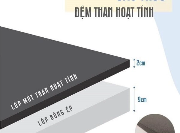 trưng bày nệm Everon nhiều chất liệu và kích thước