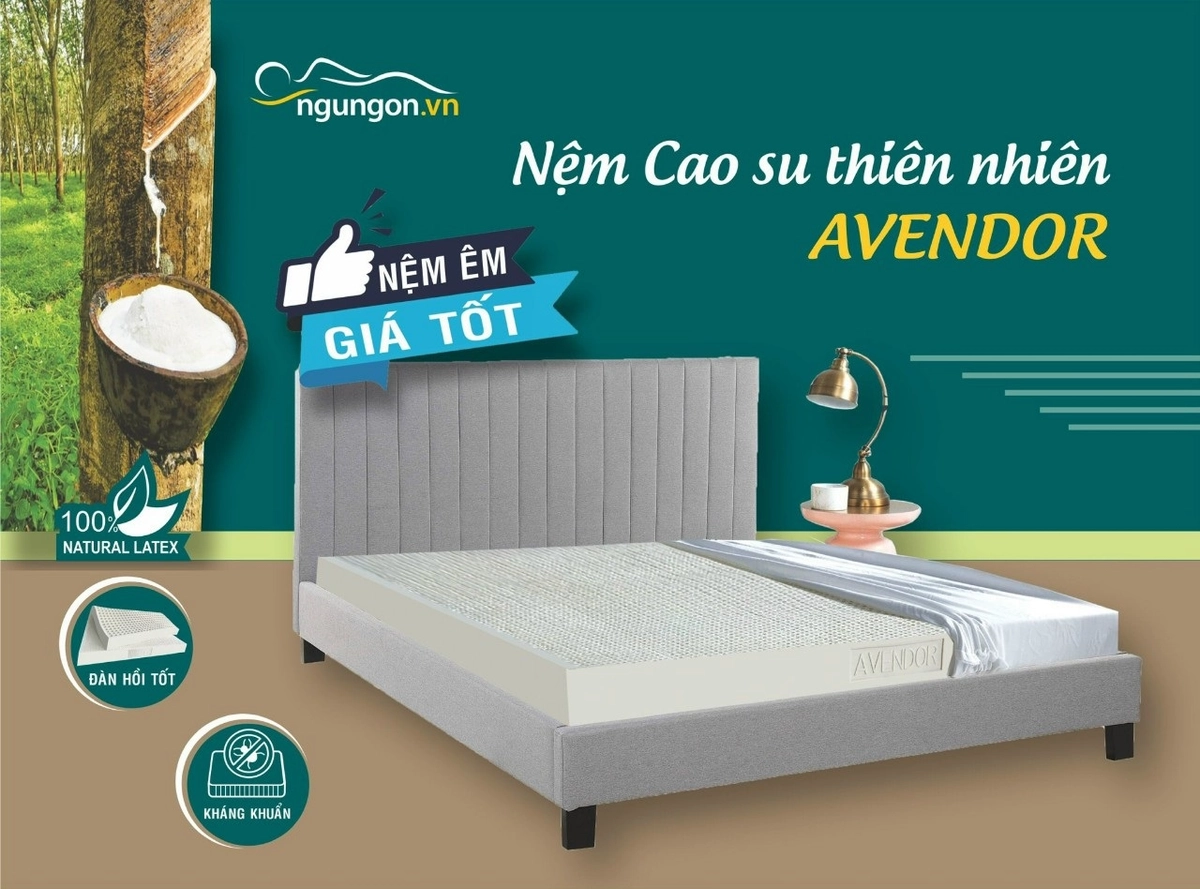 bảng giá nệm cao su thiên nhiên minh họa