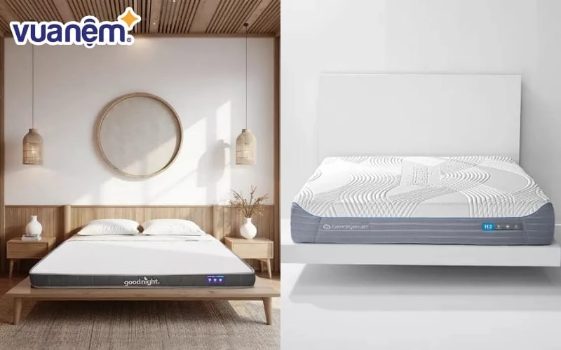 Bảng so sánh nệm nước và đệm hơi trực quan