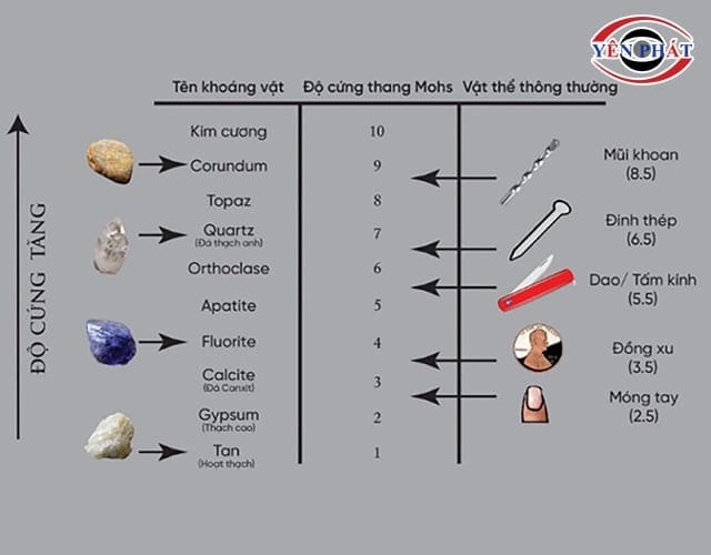 bảng thang độ cứng nệm minh họa trực quan