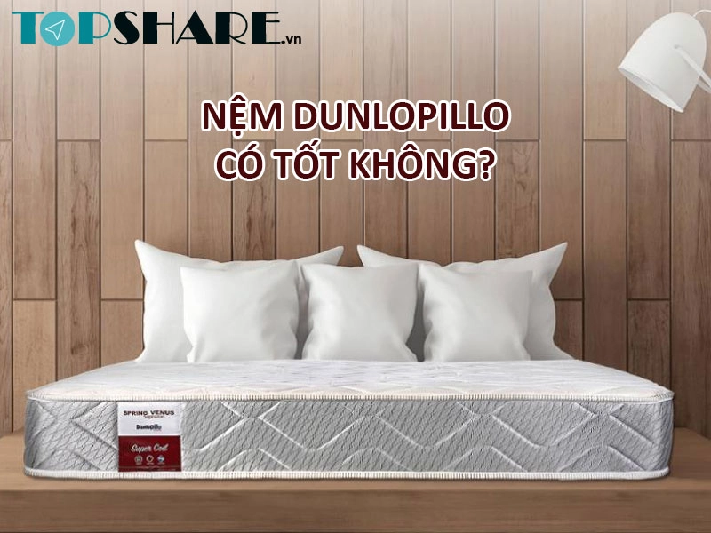 bảng tóm tắt ưu nhược điểm nệm Dunlopillo Duchess