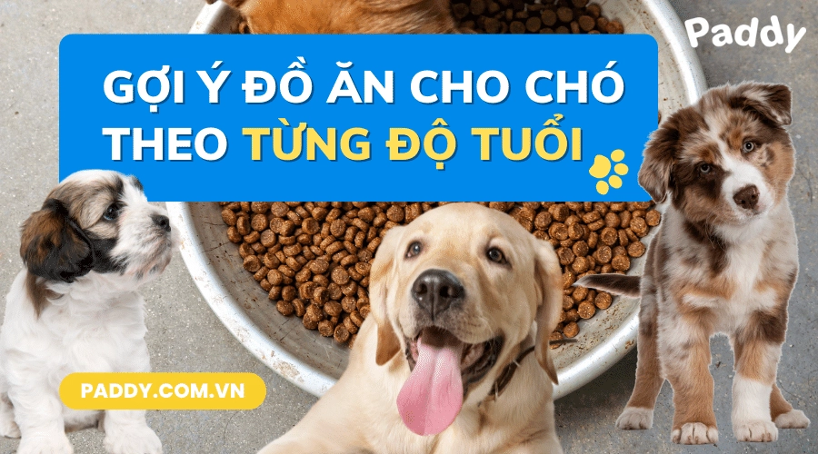biểu đồ độ ấm gợi ý cho chăn Everon