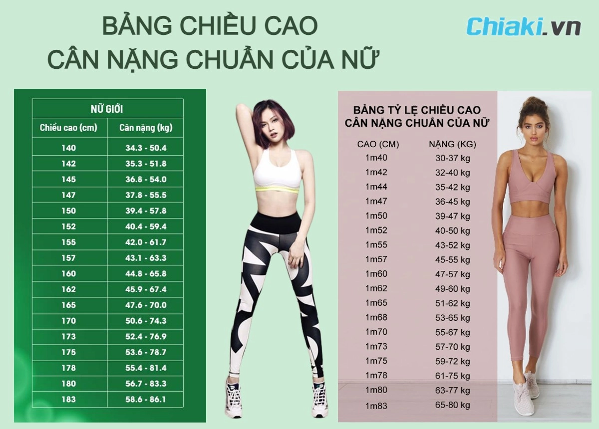 biểu đồ độ cứng đệm văn phòng theo cân nặng