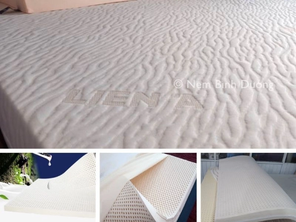 các loại nệm cao su thiên nhiên phổ biến
