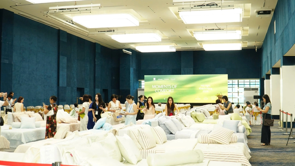 các size chăn Everon đặt cạnh nhau