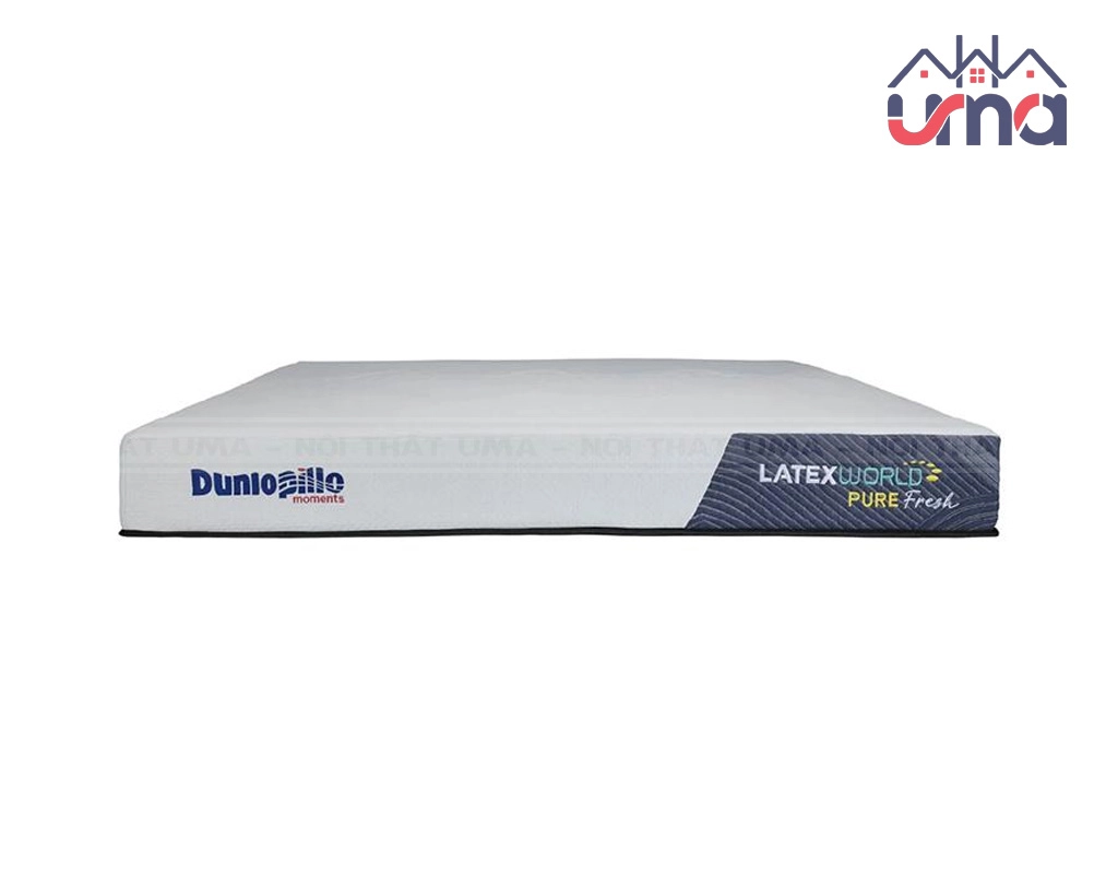 cắt lớp nệm Dunlopillo hiển thị cấu trúc bên trong