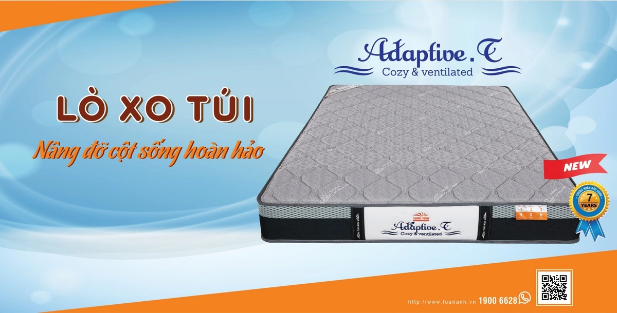 Cấu trúc đệm lò xo Tuấn Anh cắt lớp minh họa