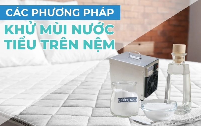 cha mẹ thao tác nạp nước nệm nước Con Cưng