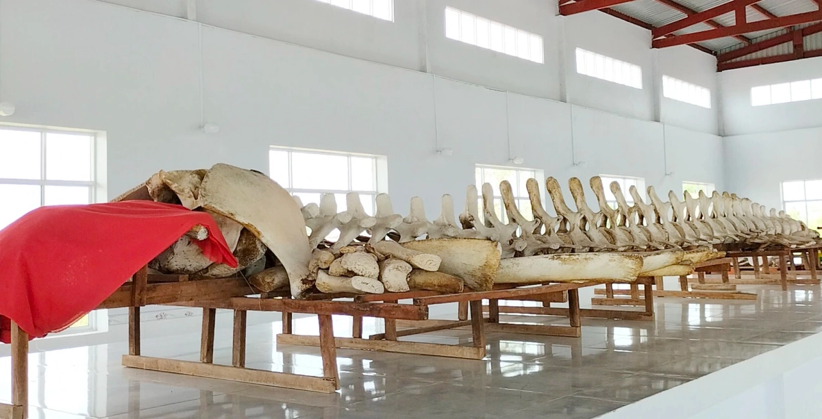 Chăn Ra Thanh Thủy trưng bày nhiều phân khúc giá