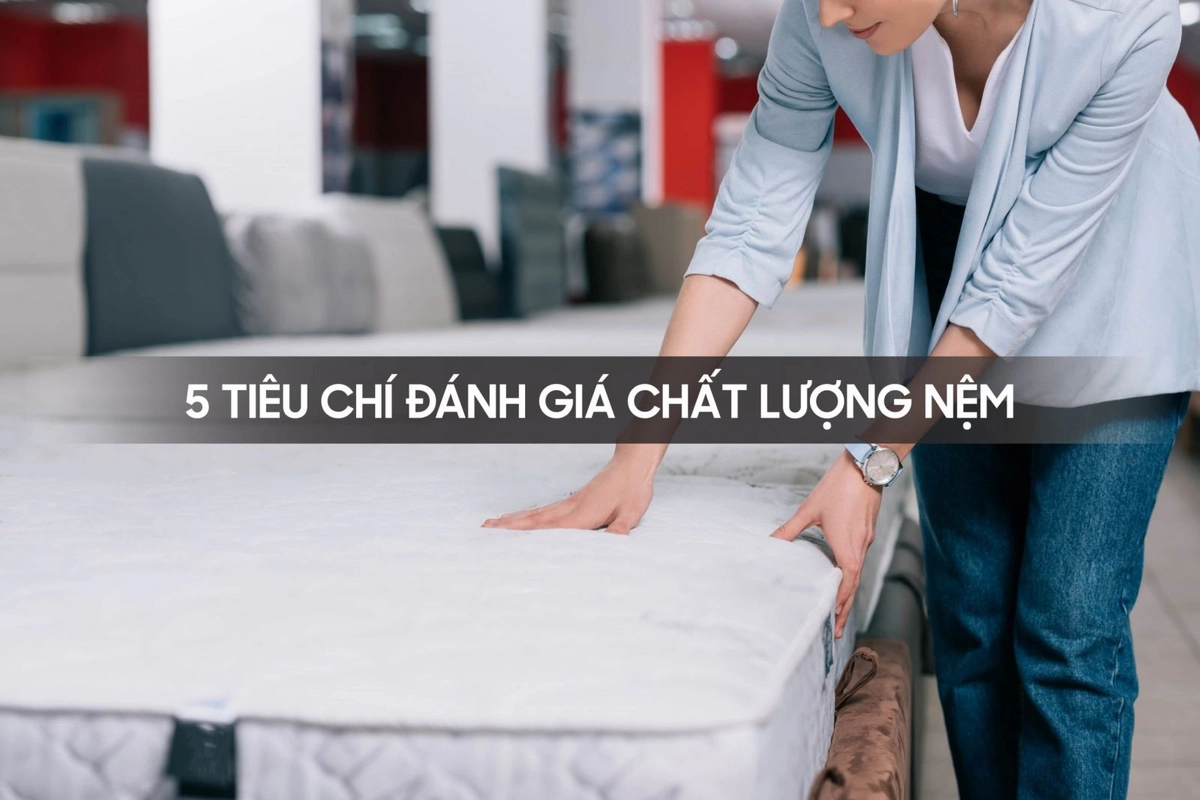 Chuyên gia đang tư vấn chọn nệm Khathaco cho khách