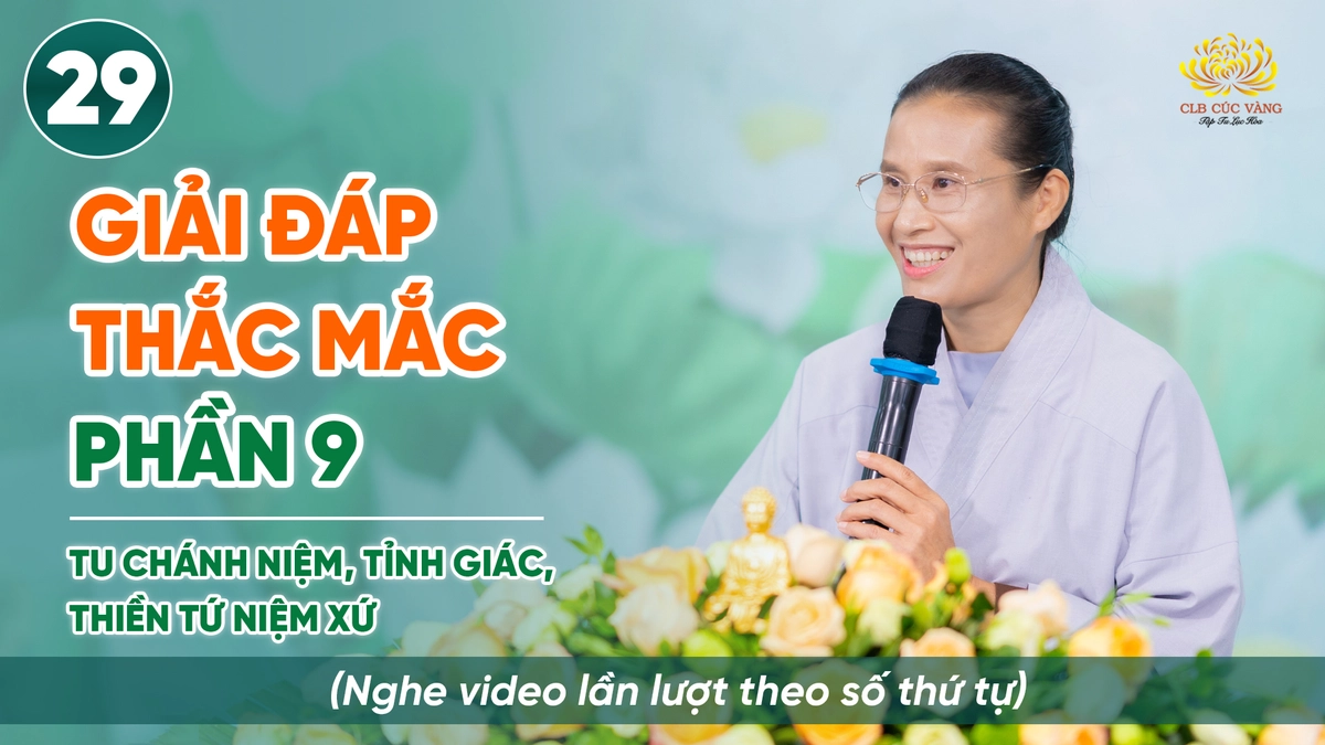 chuyên gia Hanvico giải đáp thắc mắc về đệm latex