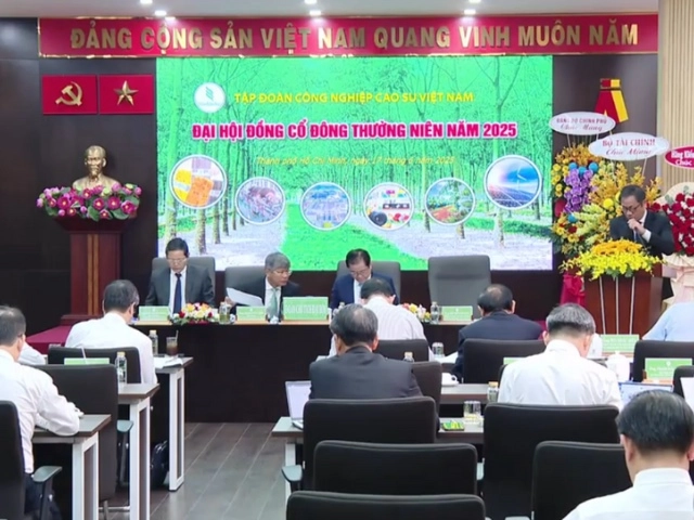 đệm cao su Everon và nguồn gốc mủ cao su