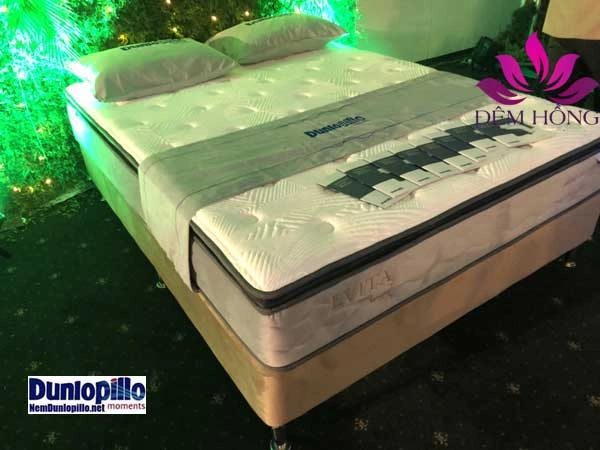 đệm cho người già thương hiệu Everon Liên Á Dunlopillo