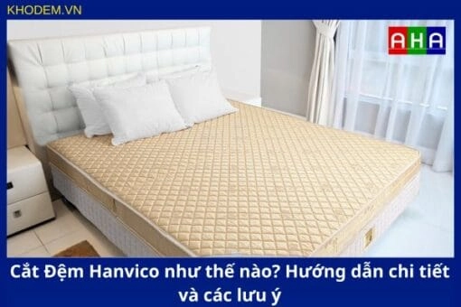 Gia đình ba thế hệ dùng đệm Hanvico
