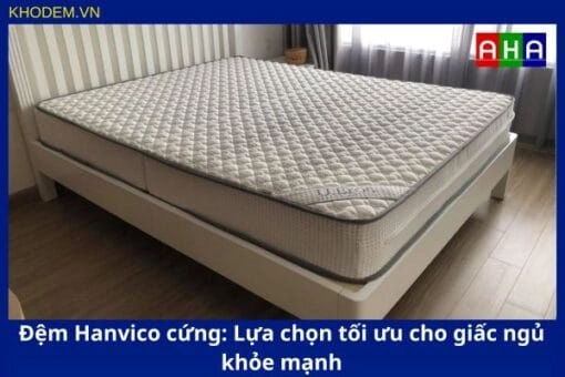 kệ trưng bày nệm bông ép Hanvico Sông Hồng