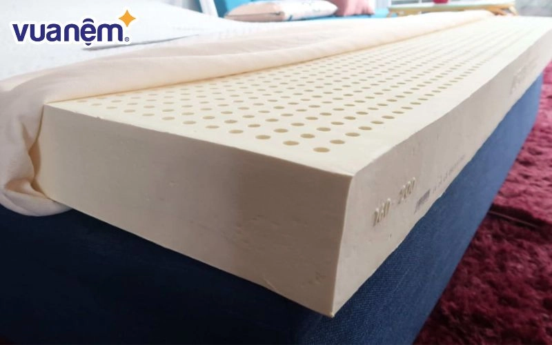 kiểm tra độ dày nệm Everon trước khi thanh toán