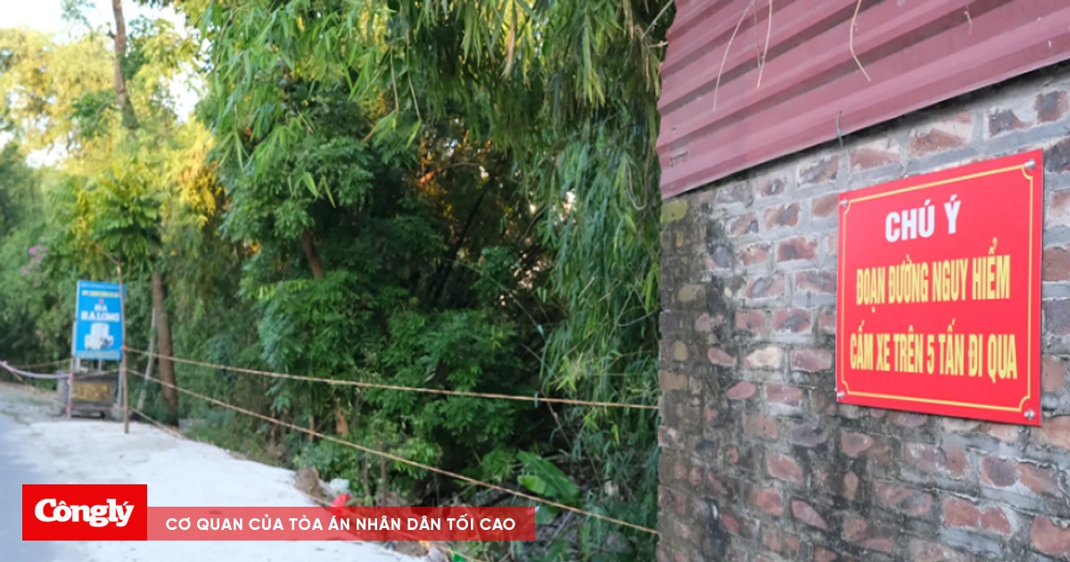 kiểm tra độ lún đệm cho người già tại nhà
