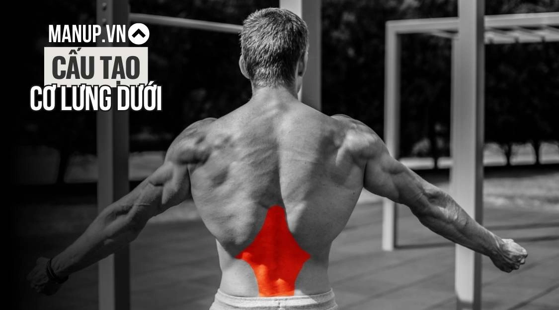 kiểm tra nâng đỡ lưng dưới trên nệm cứng