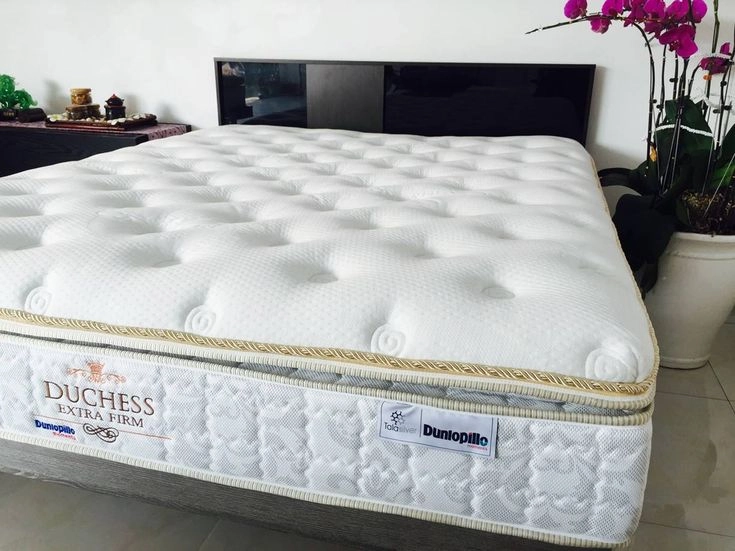 Lựa chọn cuối cùng giữa Dunlopillo và Kymdan