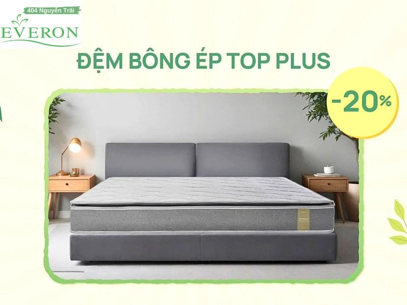 lựa chọn đệm ngủ văn phòng Everon phù hợp
