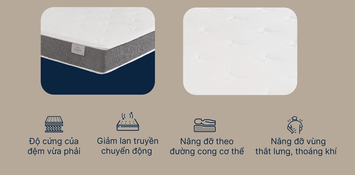 Minh họa lò xo túi độc lập Kim Cương đa vùng
