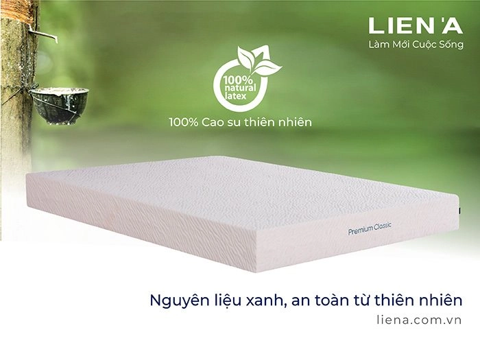 nệm cao su gummi classic trưng bày tại showroom