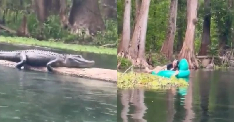 Người dùng thư giãn trên bộ ga Everon mềm mại