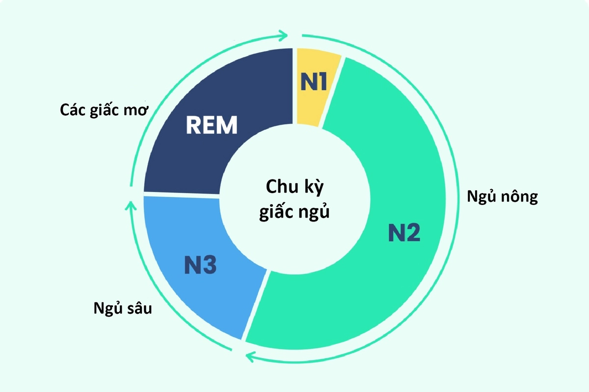nhân sự trực ca ngủ trưa trên đệm Everon