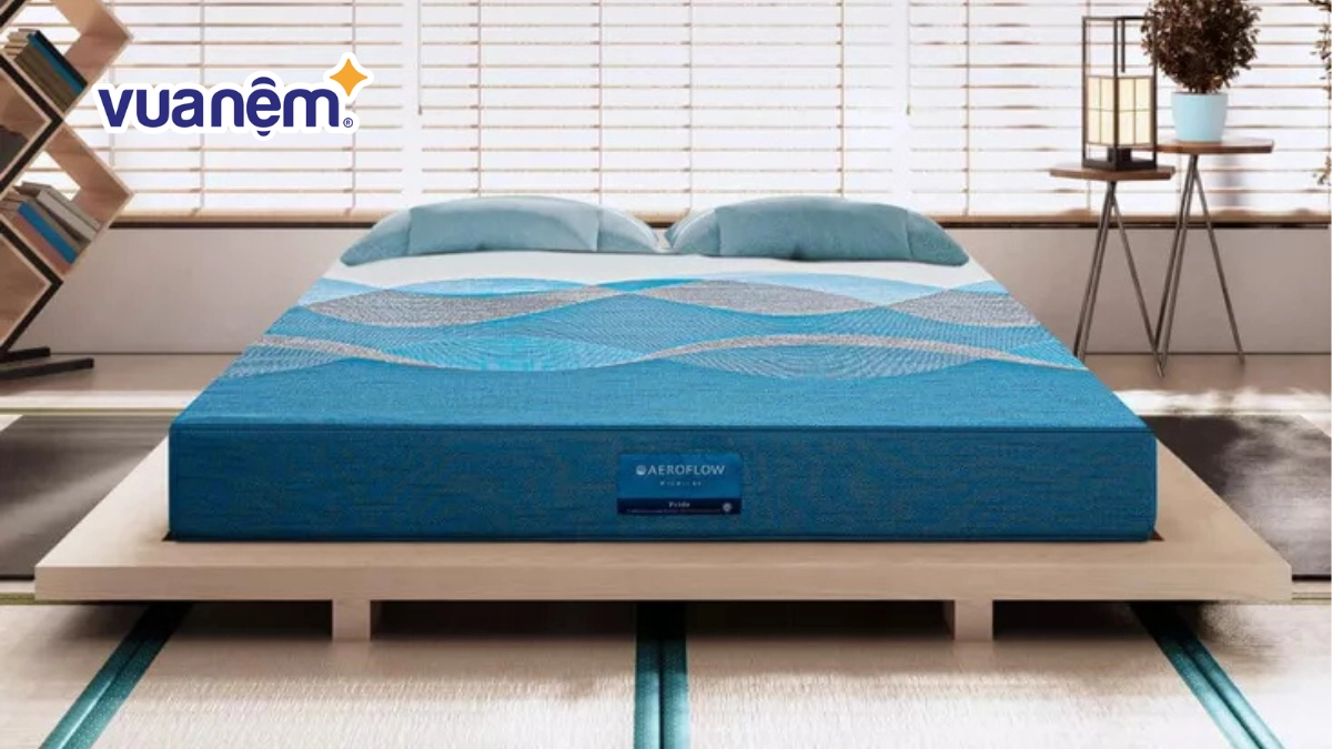 nơi mua Aeroflow Standard chính hãng tại showroom