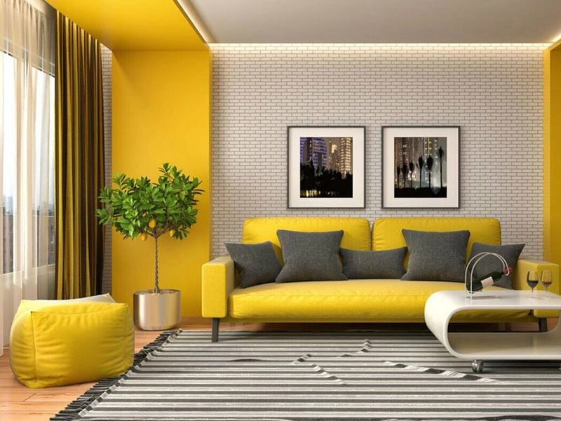 phối màu Everon hài hòa nội thất gỗ sáng