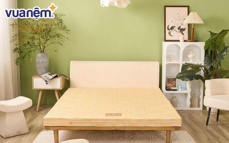 phòng ngủ tối giản với nệm cao su gummi classic