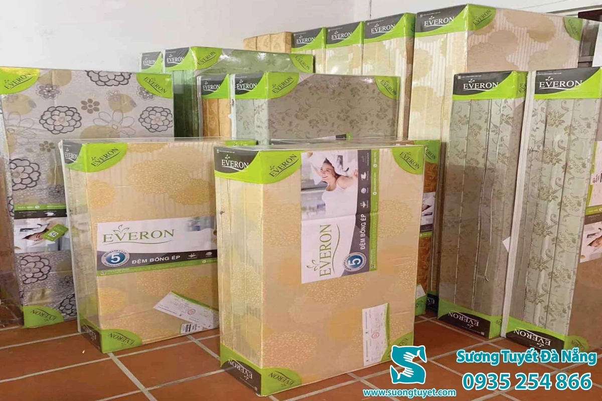 sinh viên chọn nệm gòn ép Everon trong ký túc