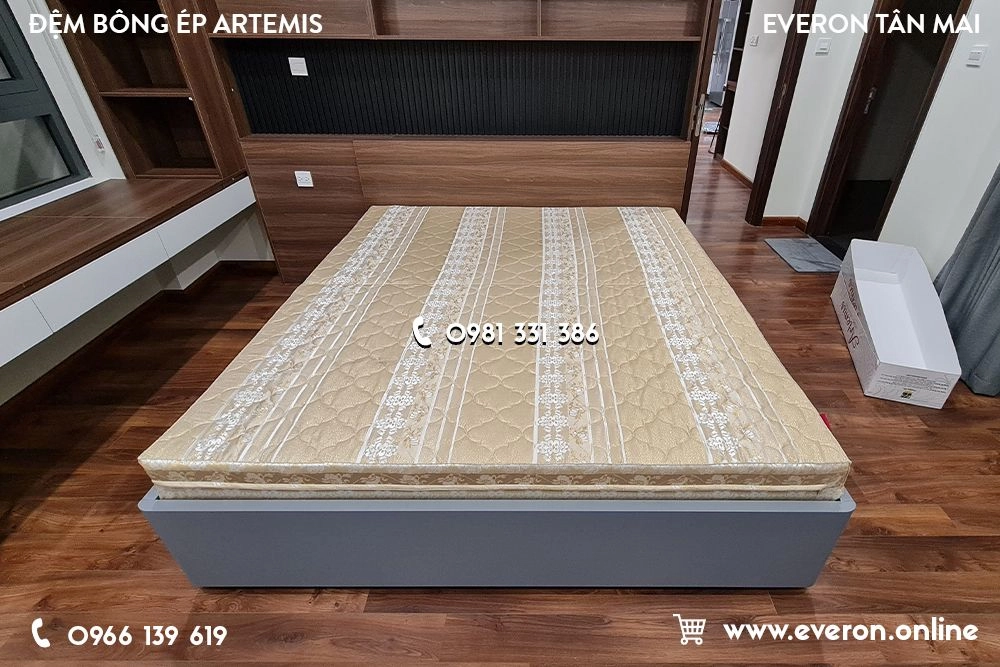 sinh viên kiểm tra tem bảo hành trên đệm Everon