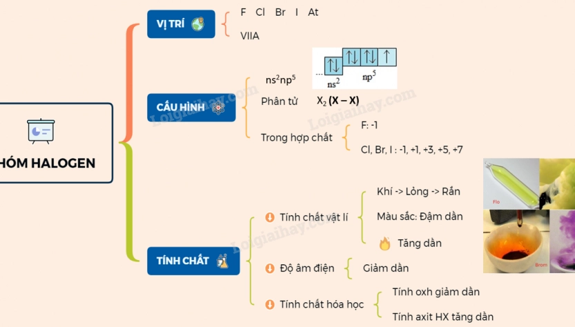 Sơ đồ ChillPad tuần hoàn nước làm mát lưng