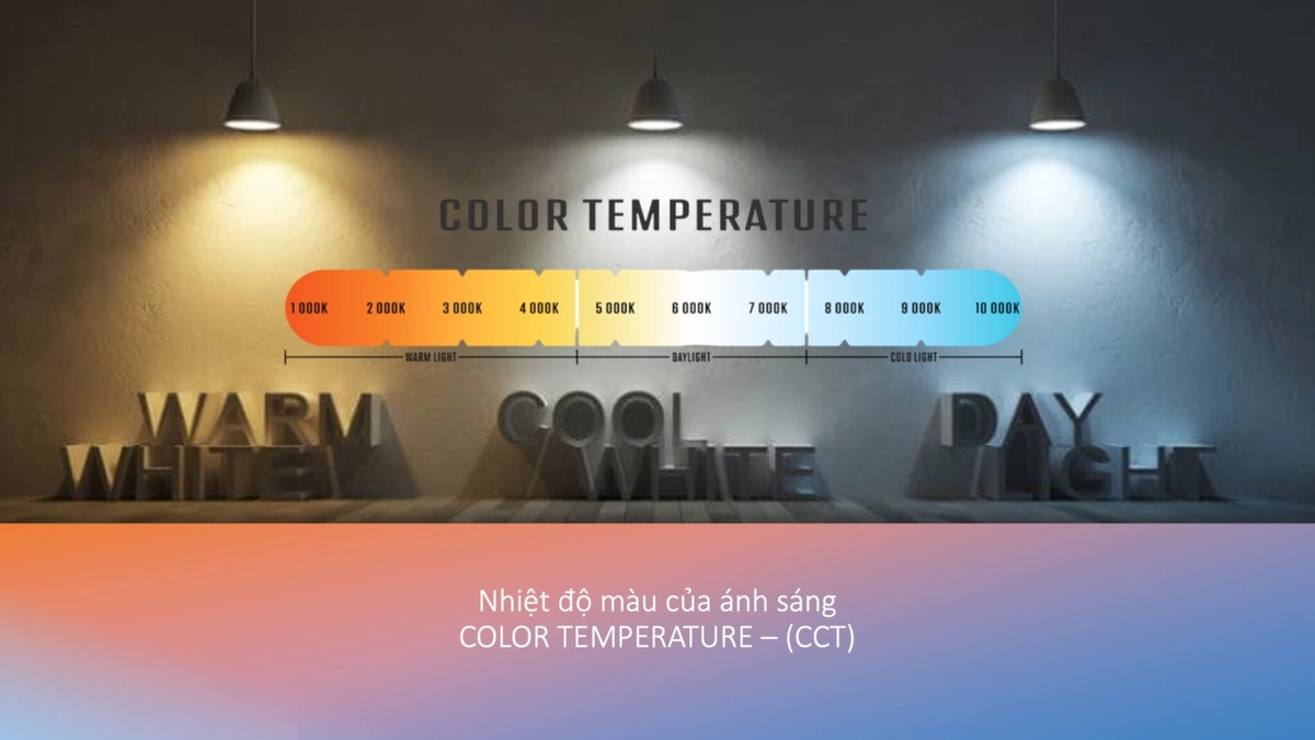 So màu và độ dày đệm Tuấn Anh tại showroom