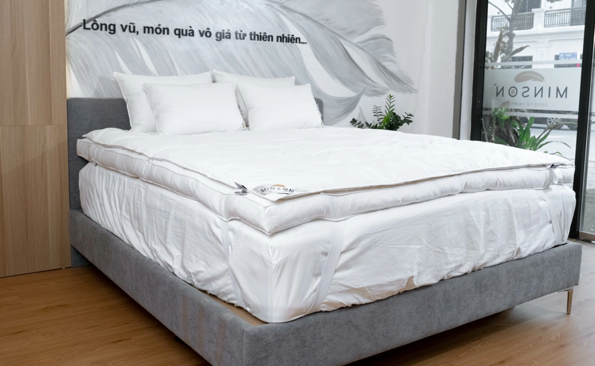 So sánh chăn Everon với chăn bông và lông vũ