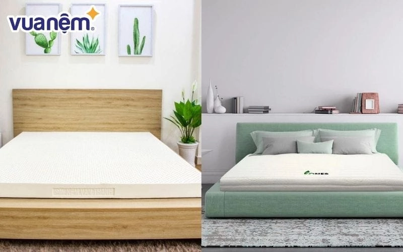 so sánh nệm cao su gummi classic với đối thủ cùng phân khúc