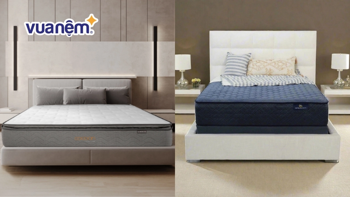 so sánh nệm Kymdan Liên Á và xơ dừa