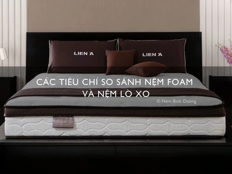 so sánh nệm Thắng Lợi Gold Latex và foam lò xo