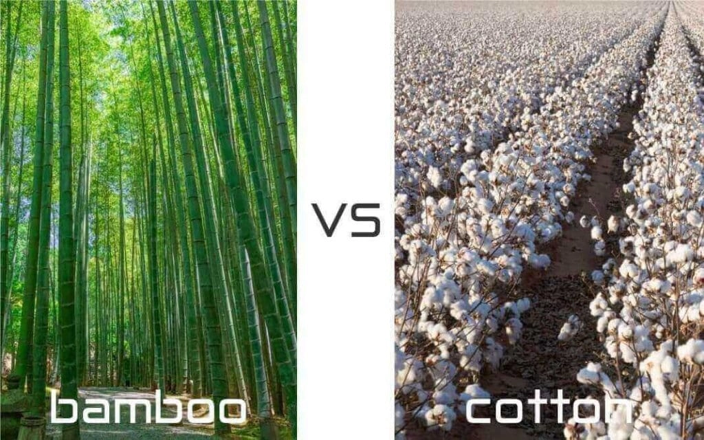 so sánh sợi cotton satin và percale